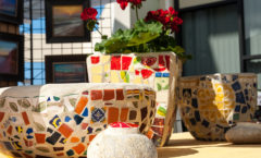 Mosaic Pots - Pat Stone